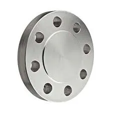 Flange cego inox 304 — imagem 1