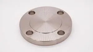 Flange cego inox 304 — imagem 3