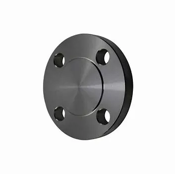 Fornecedor de flange cego — imagem 2